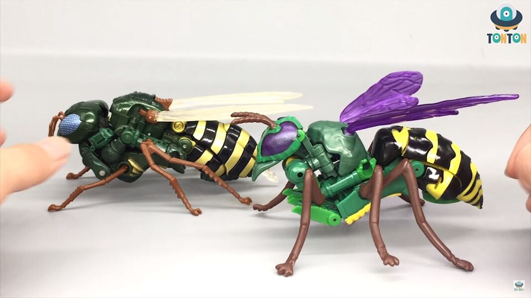 Transformers Kingdom Deluxe Class Waspinator  (37 of 38)